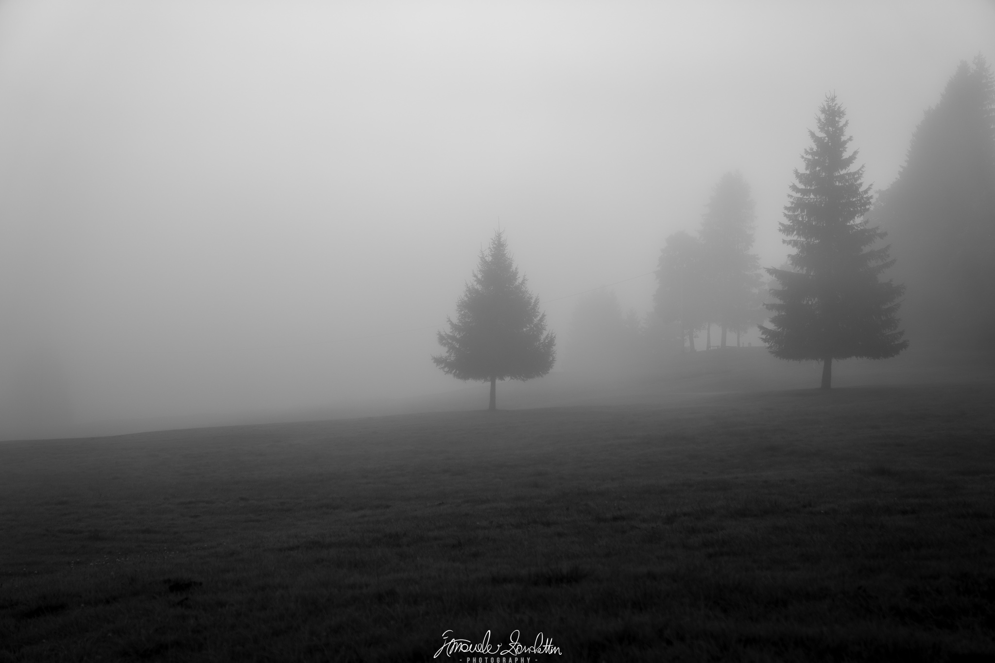 Un paesaggio monocromatico con alberi su un prato scuro in pendenza, altri alberi che svaniscono nella nebbia e un ampio cielo grigio chiaro.