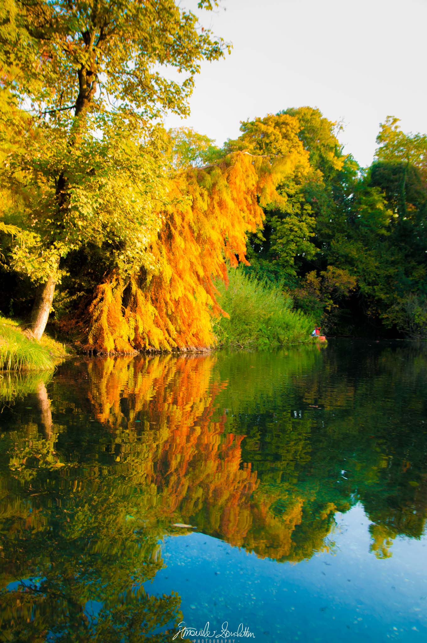 Alberi dorati e verdi costeggiano acqua tranquilla, con lunghi riflessi increspati, cielo chiaro in alto e cielo azzurro riflesso nella parte inferiore.