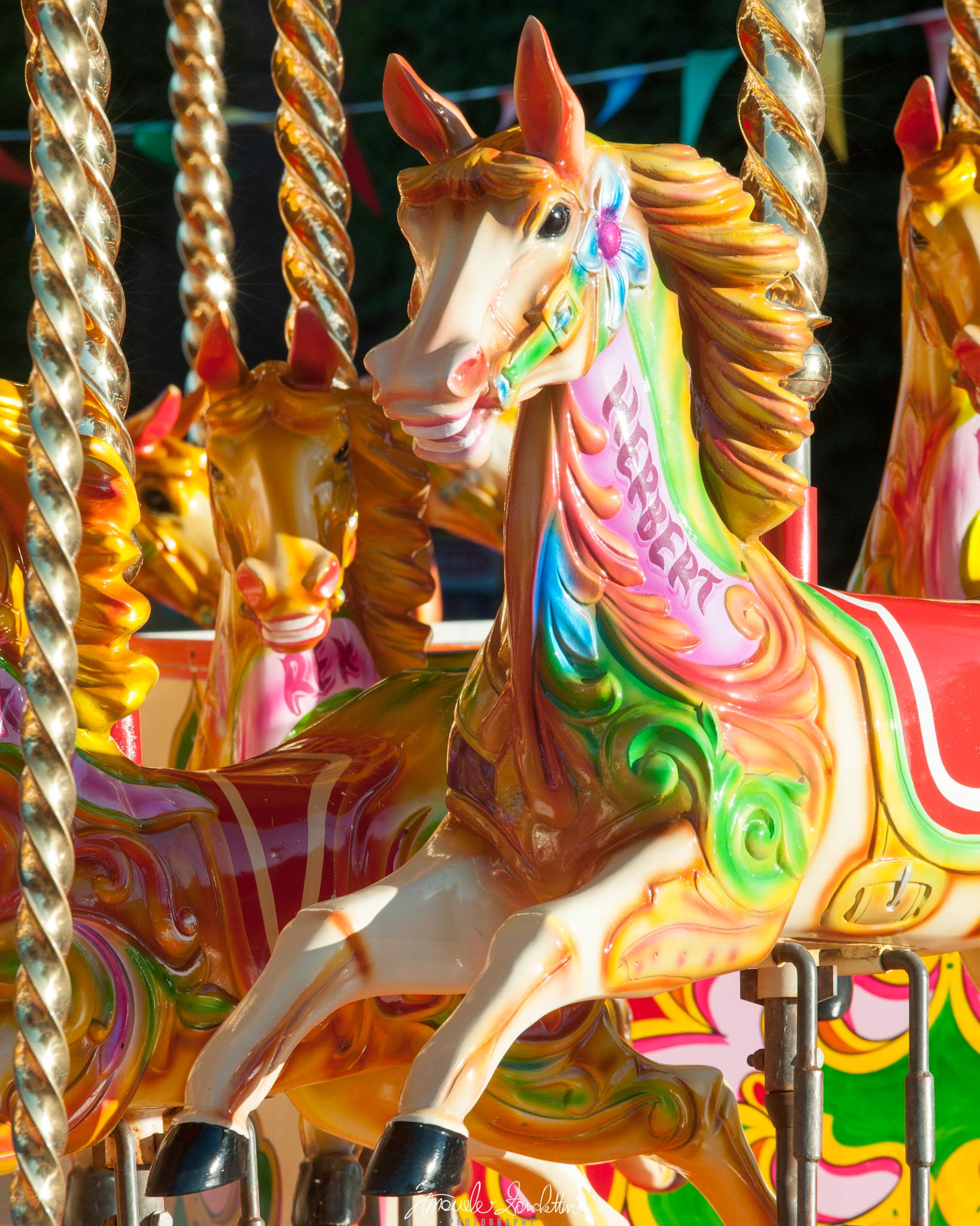 A brightly painted carousel horse dominates a close vertical composition, surrounded by other horses, twisted gold poles and colourful decorations.