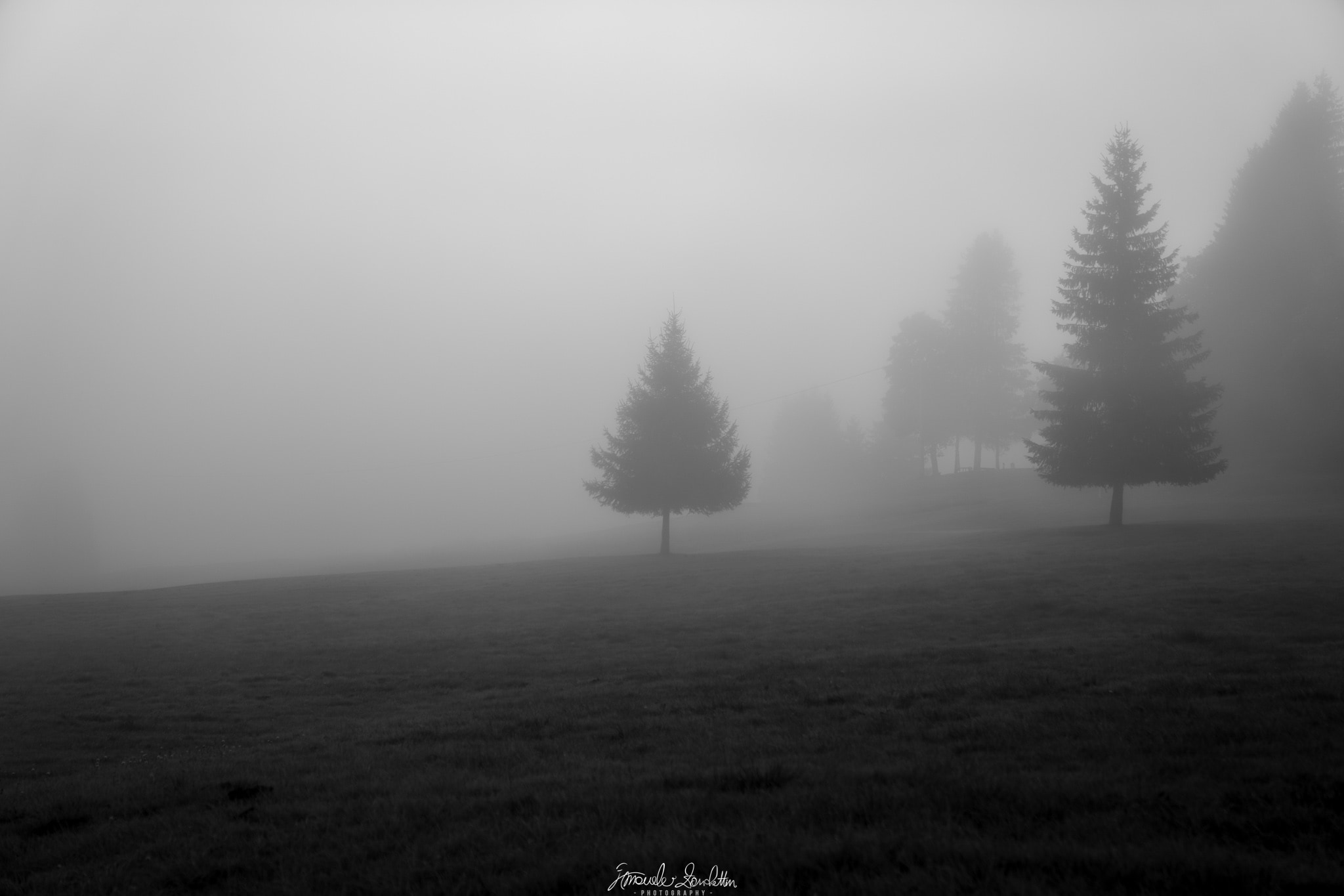 Trees disappearing into mist in a monochrome landscape by Emanuele Zanchettin